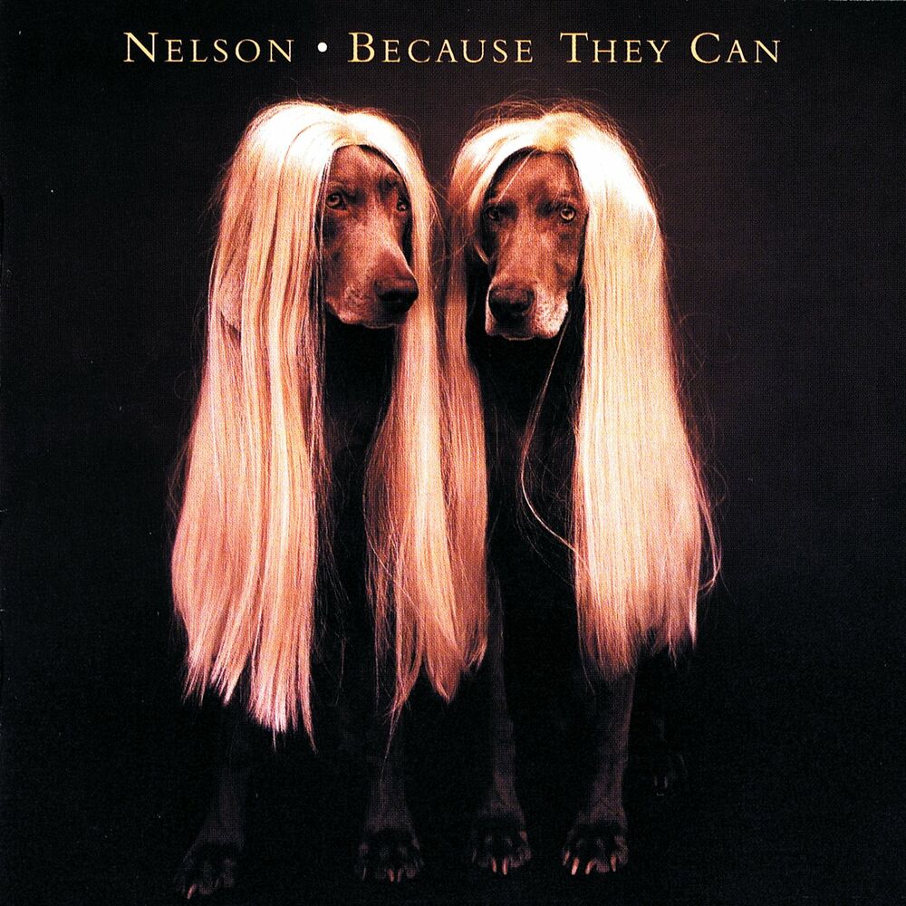 Picture of Because They Can
