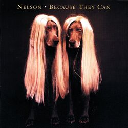 Cover of Because They Can