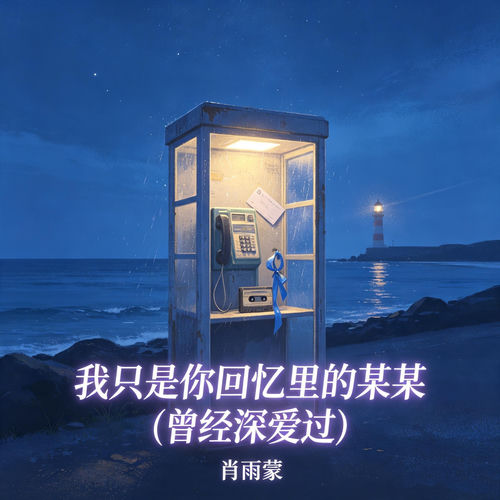 我只是你回忆里的某某(曾经深爱过)