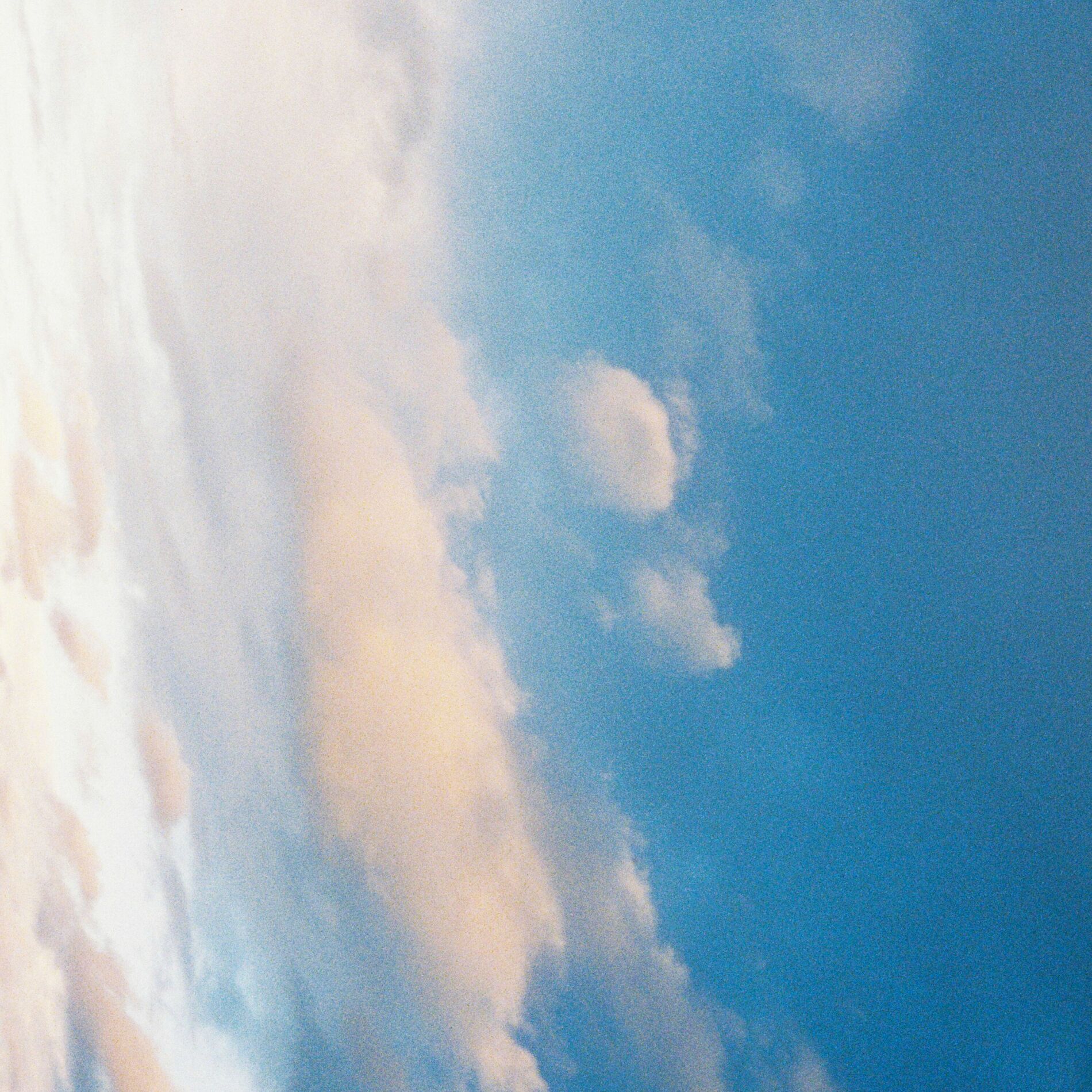 Album cover of searchingforthelights
