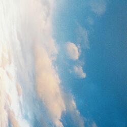 Cover of searchingforthelights