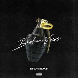 Cover of Broken Vows