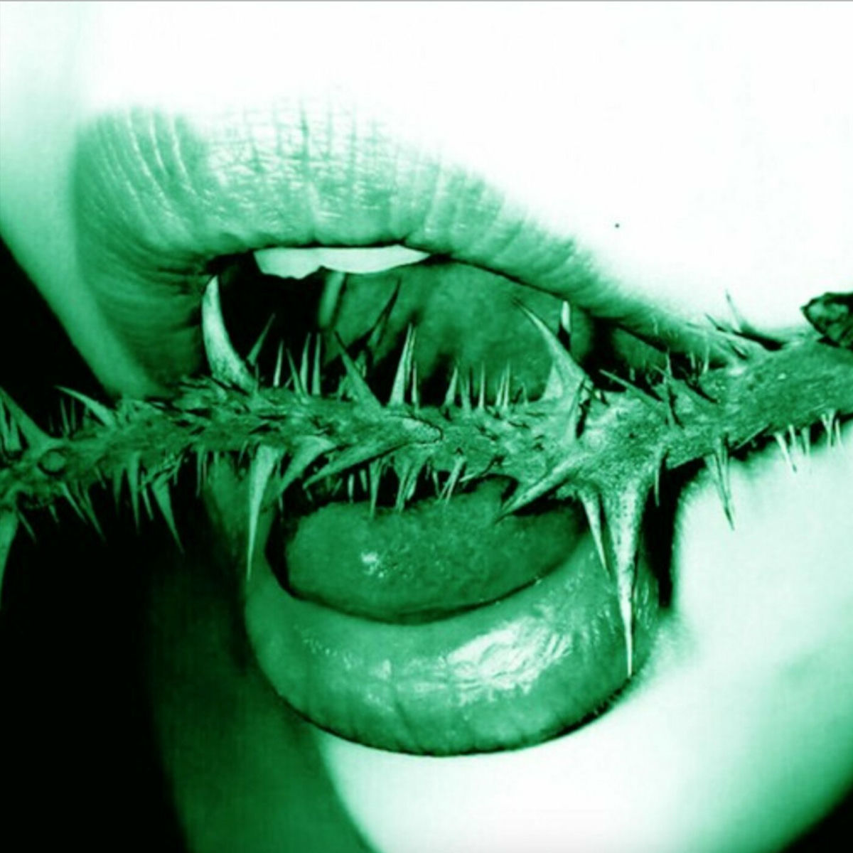 Album cover of Witch