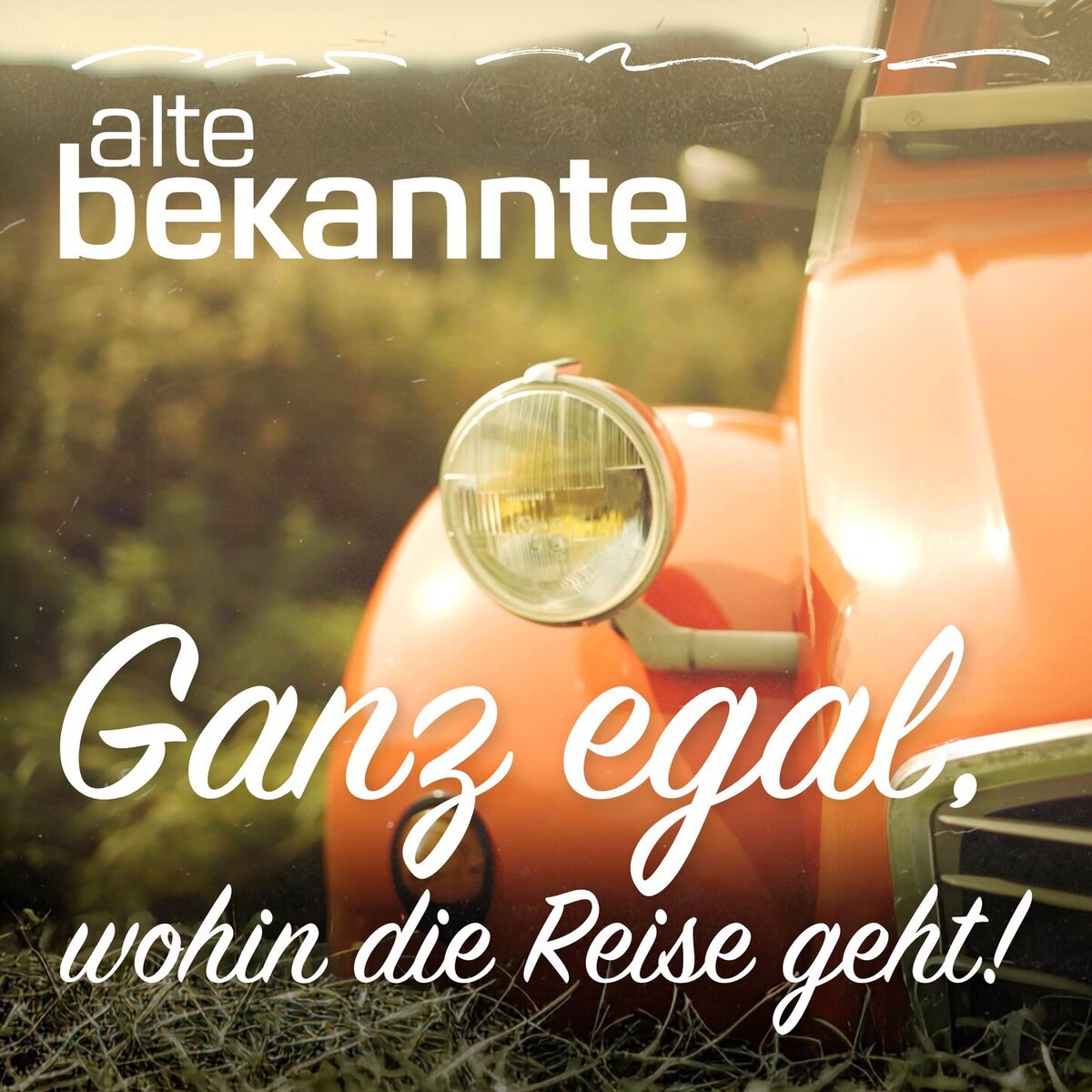 Album cover of Ganz egal, wohin die Reise geht