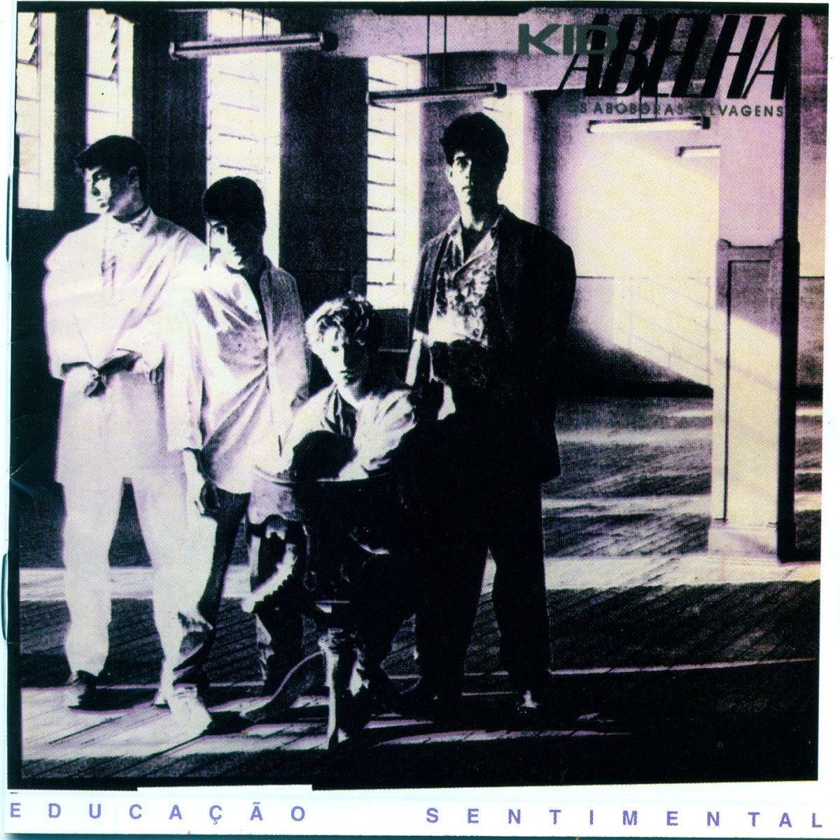 Album cover of Educação Sentimental