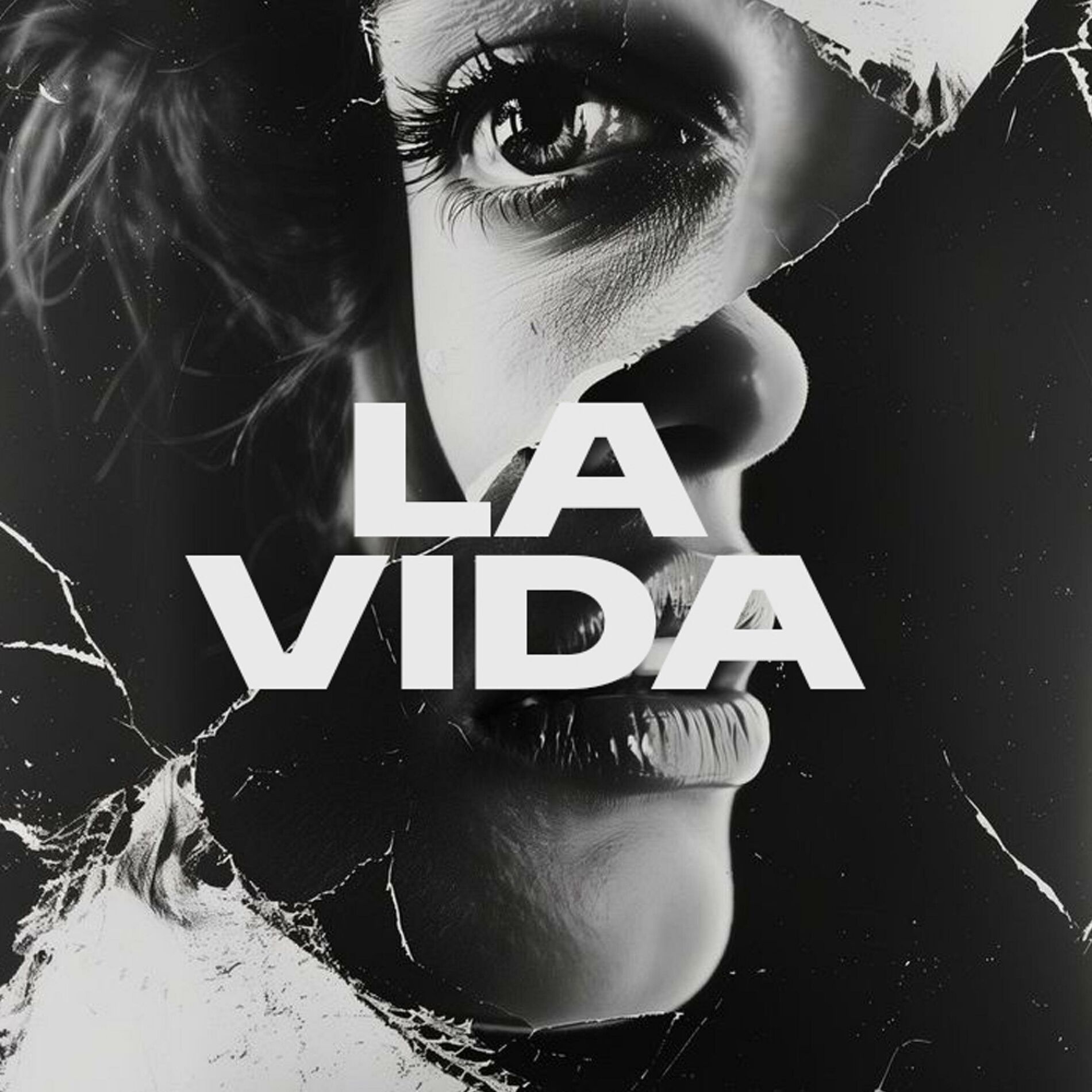 Album cover of La Vida (feat. Universe, Torox, Roblez, Cataleya & Groove Mafia) [Radio Edit]