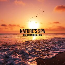 Cover of Nature's Spa - Ocean Meditation, Classical Indian Flute, Healing Massage, Relaxation in Peaceful Ambient Music