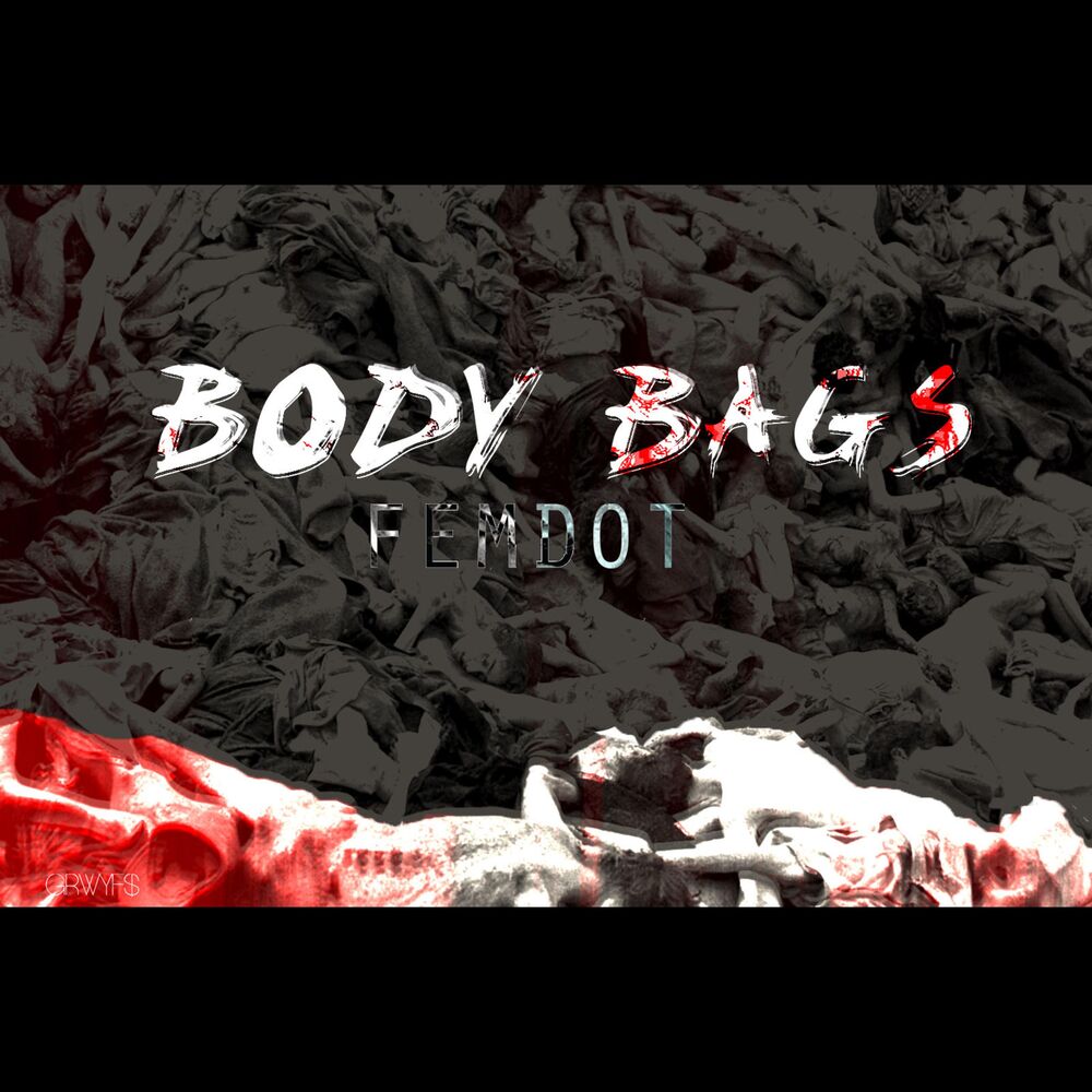 Picture of Body Bags