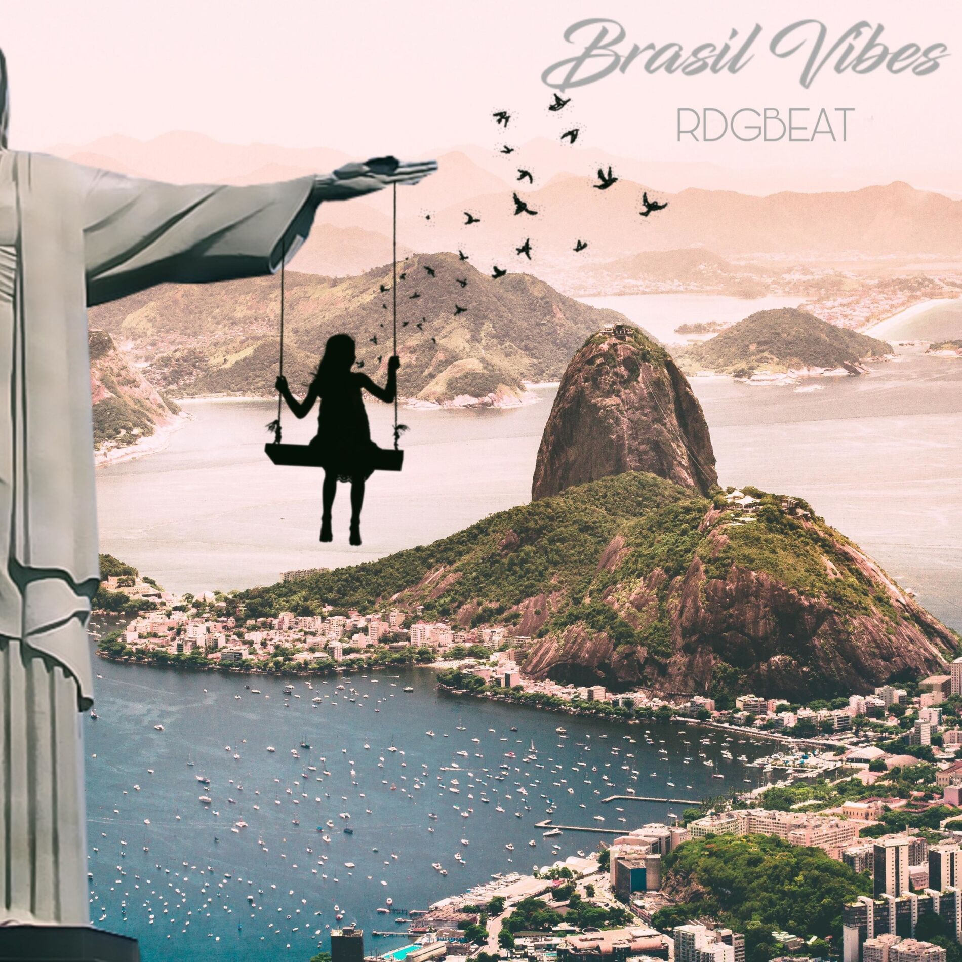 Album cover of Brasil Vibes