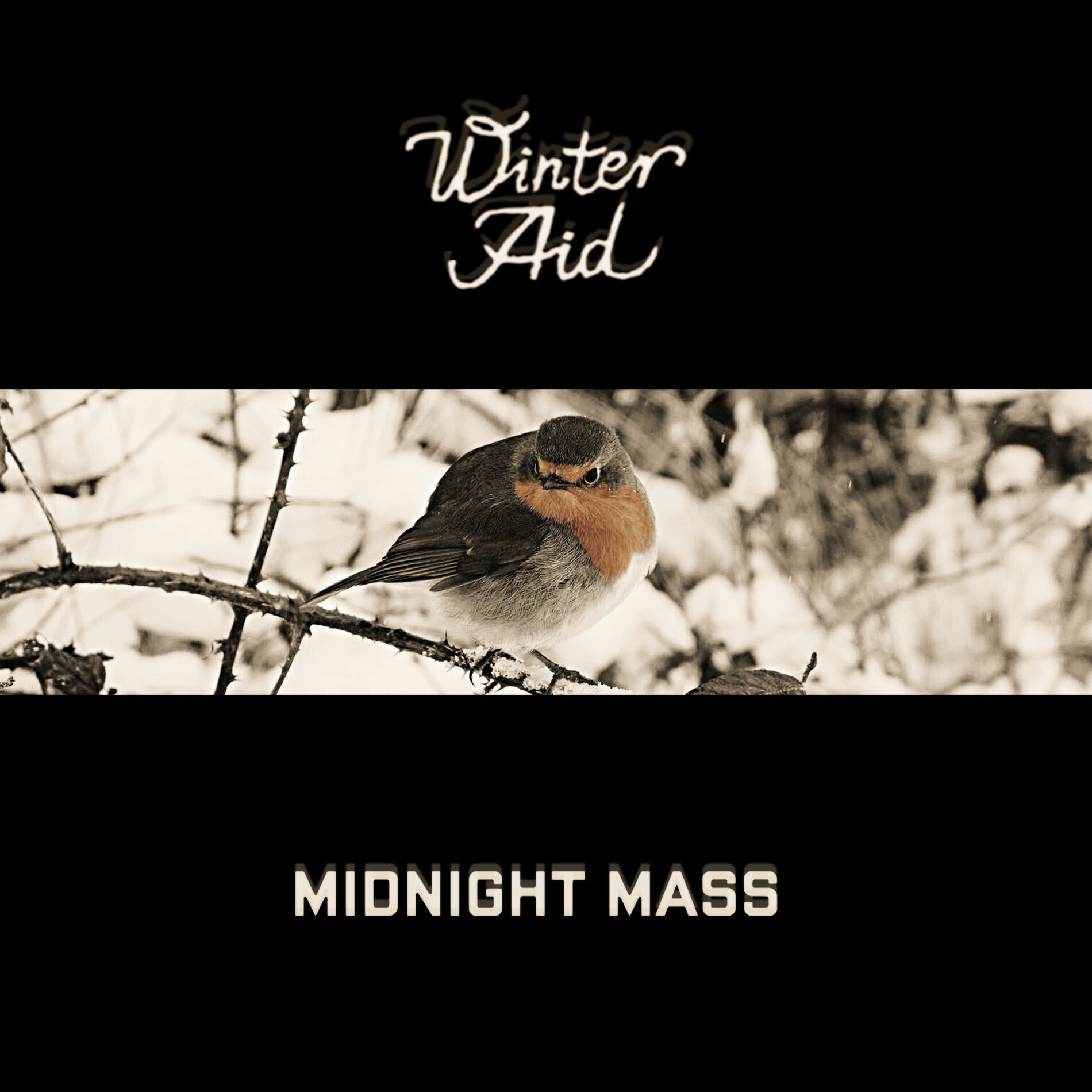 Album cover of Midnight Mass