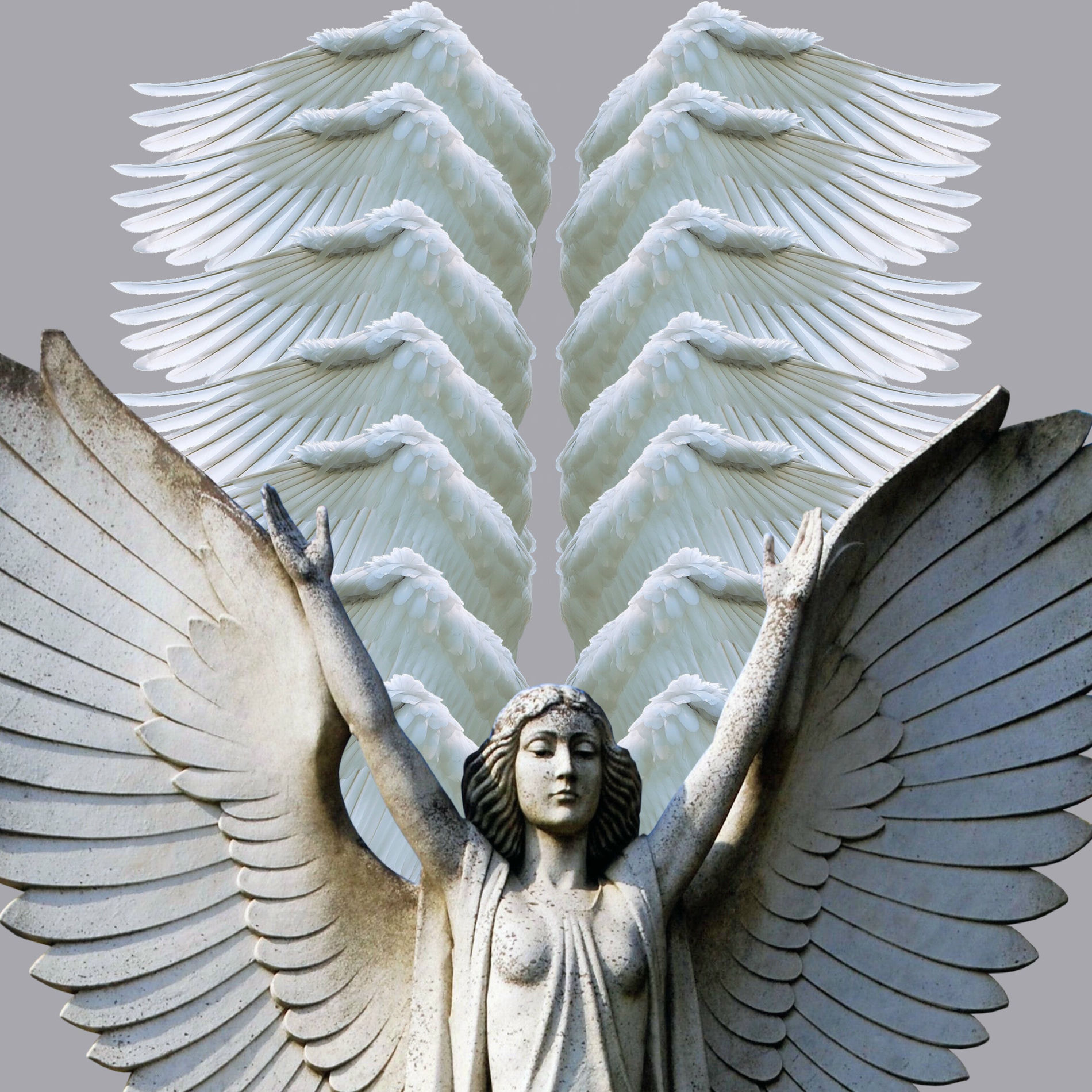 Album cover of Oração Santo Anjo do Senhor