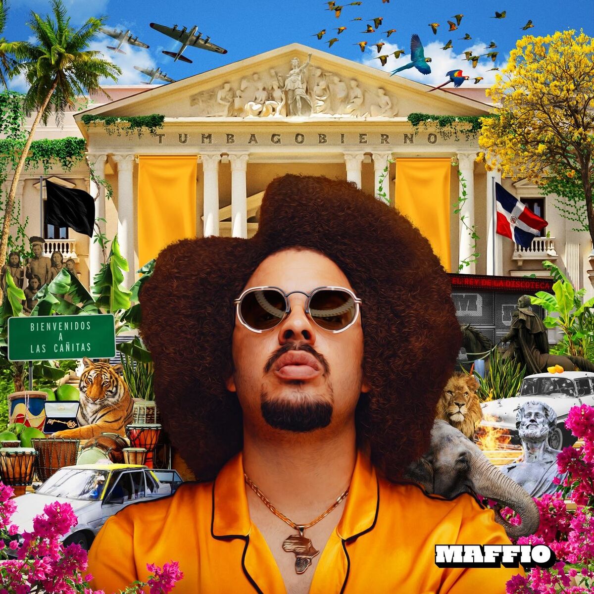 Album cover of TumbaGobierno