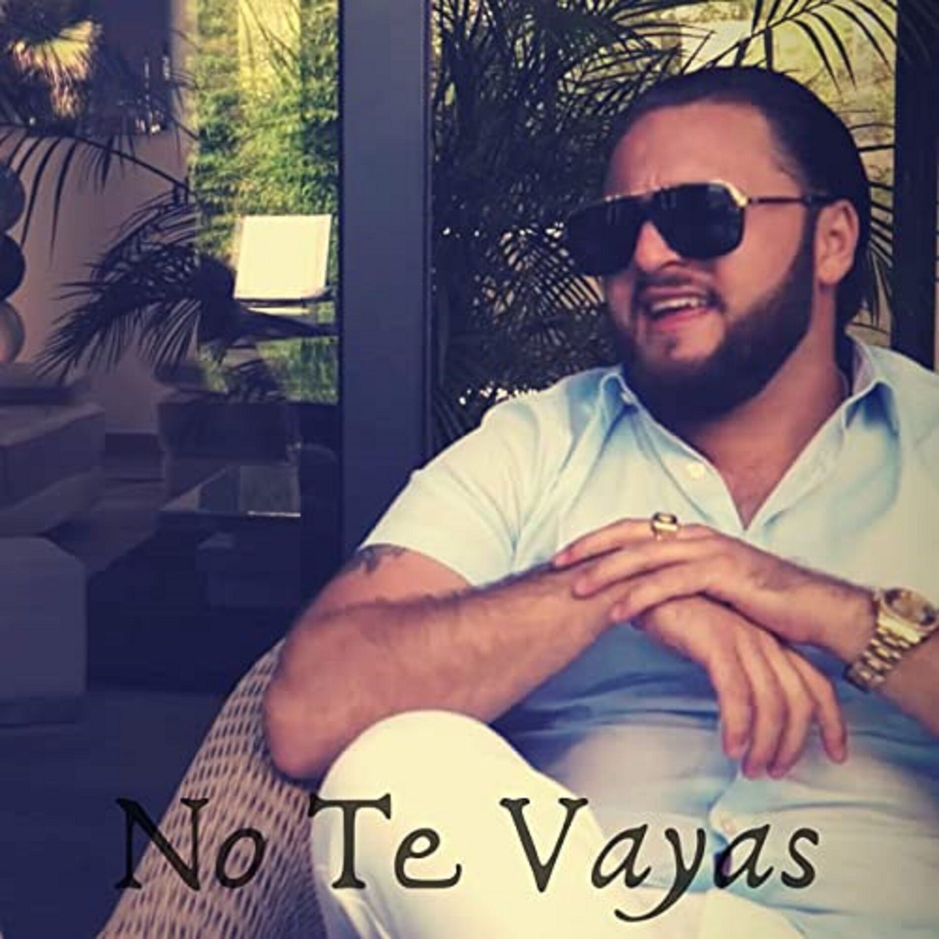 Album cover of No Te Vayas