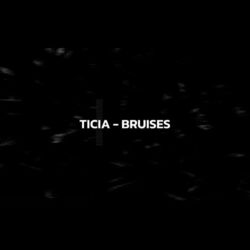 Cover of Bruises