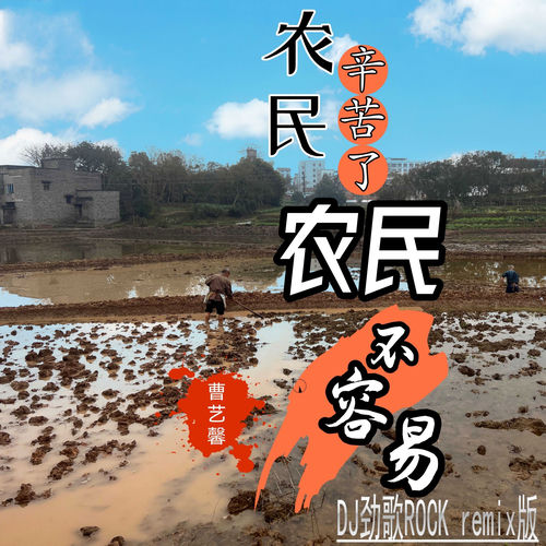 农民辛苦了农民不容易 (Dj劲歌rock版)