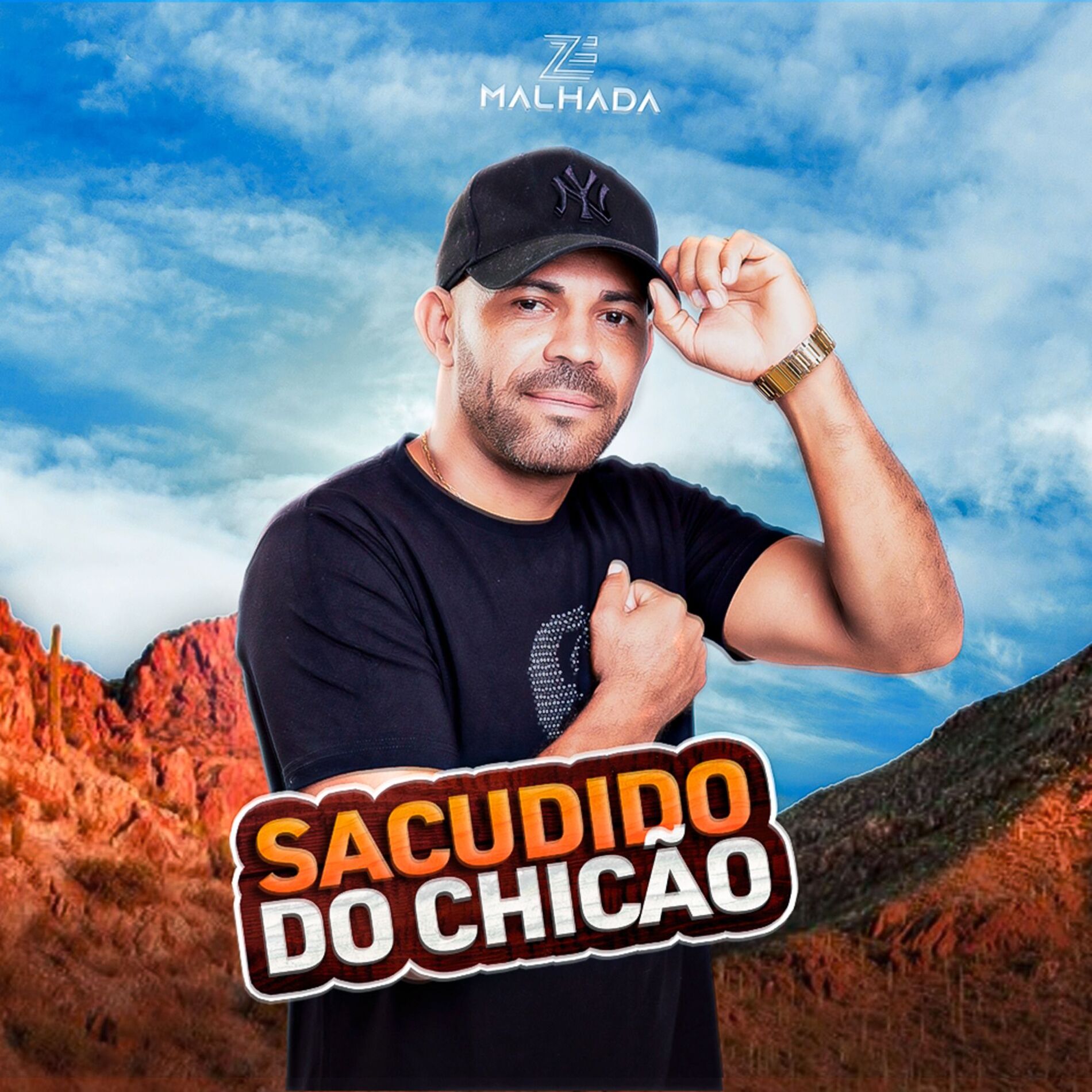 Album cover of Sacudido Do Chicão