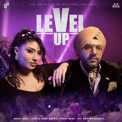Cover of Level Up