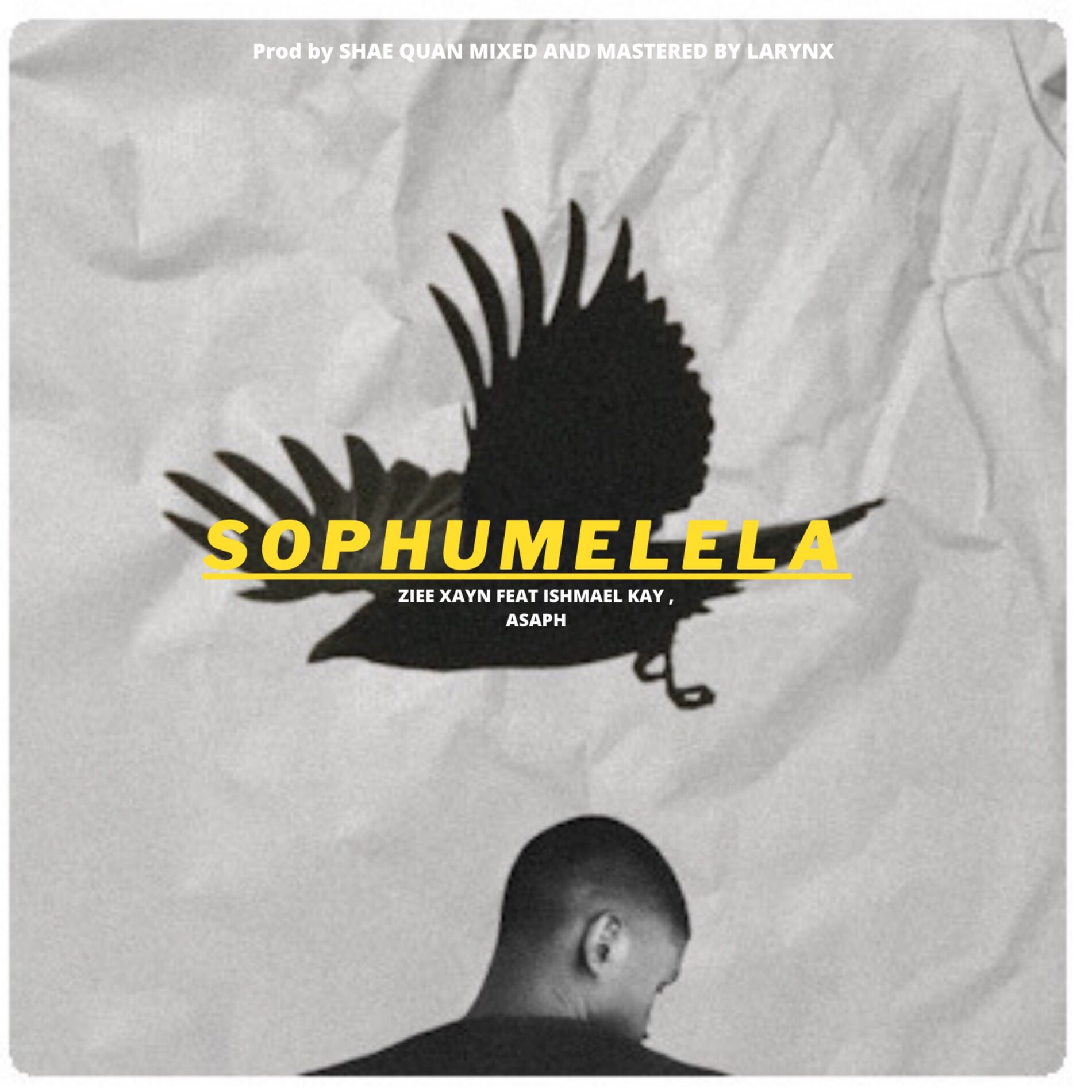 Album cover of Sophumelela
