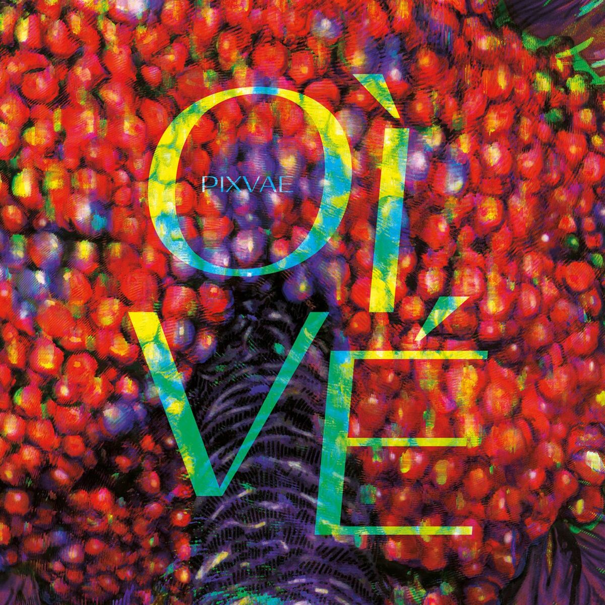 Album cover of Vengo
