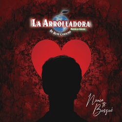 Cover of Nunca Te Busqué
