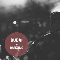 Cover of Danzing
