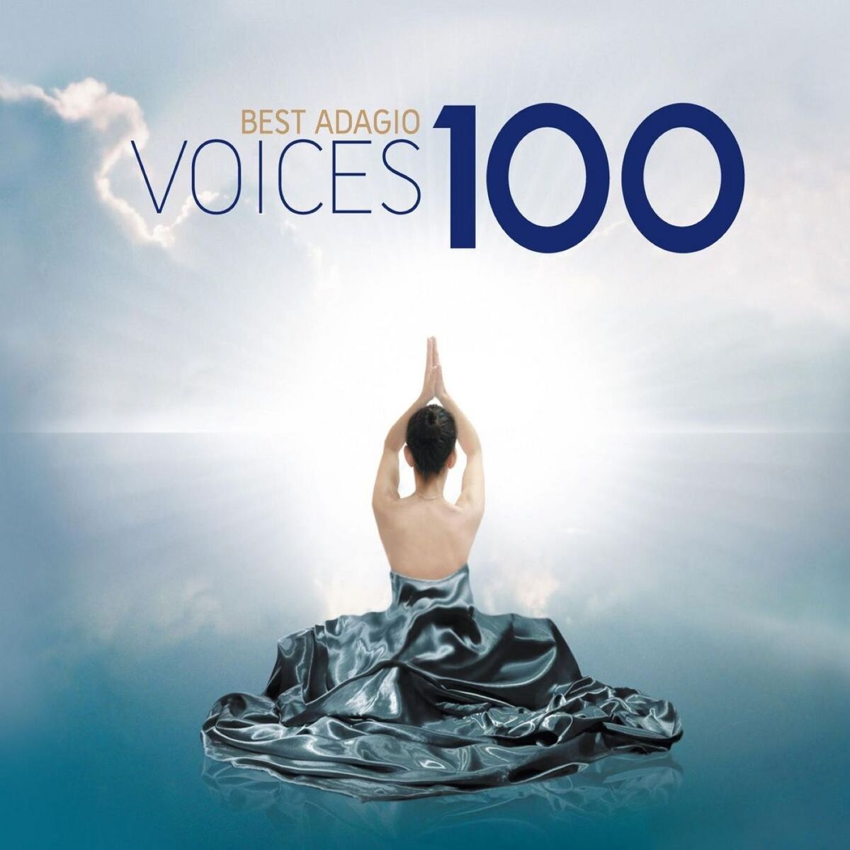 Album cover of 100 Best Adagio Voices
