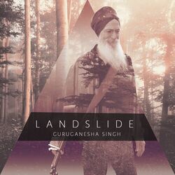 Cover of Landslide