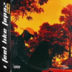 Cover of I Feel Like Topaz