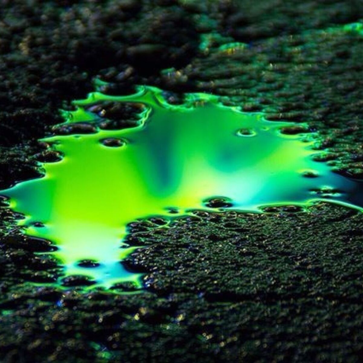 Album cover of Antidote