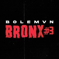 Cover of Bronx #3