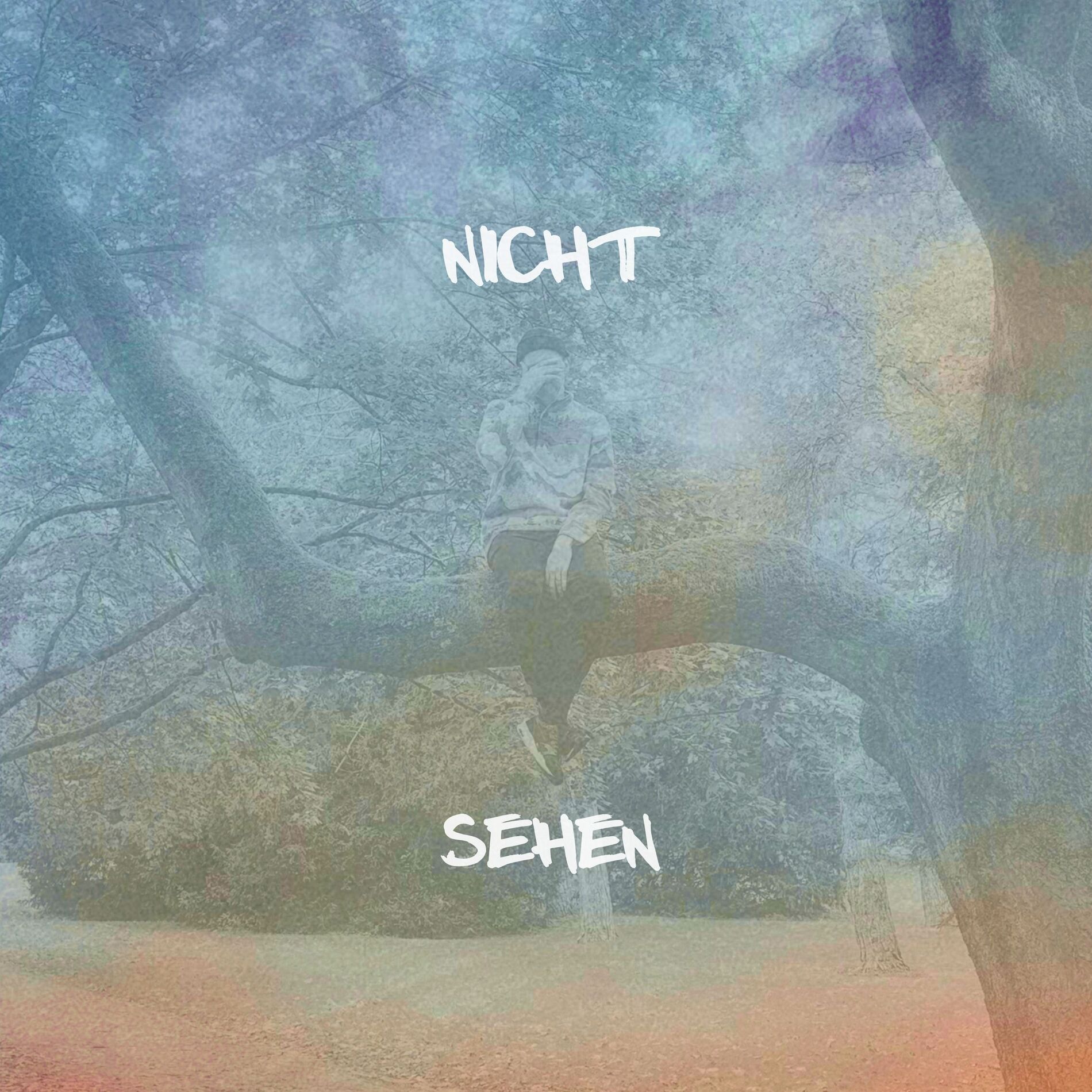 Album cover of Nicht sehen