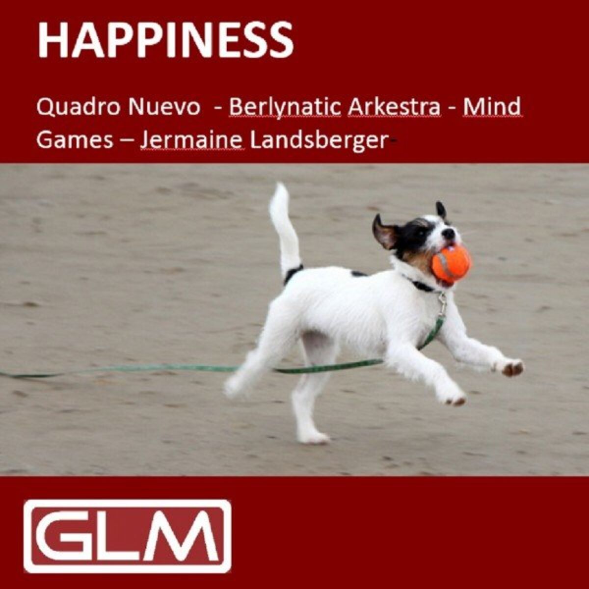 Album cover of Happiness