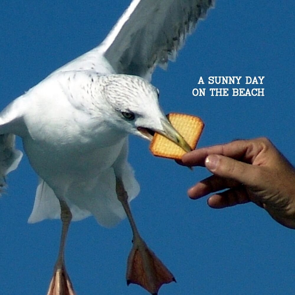 Picture of a sunny day on the beach