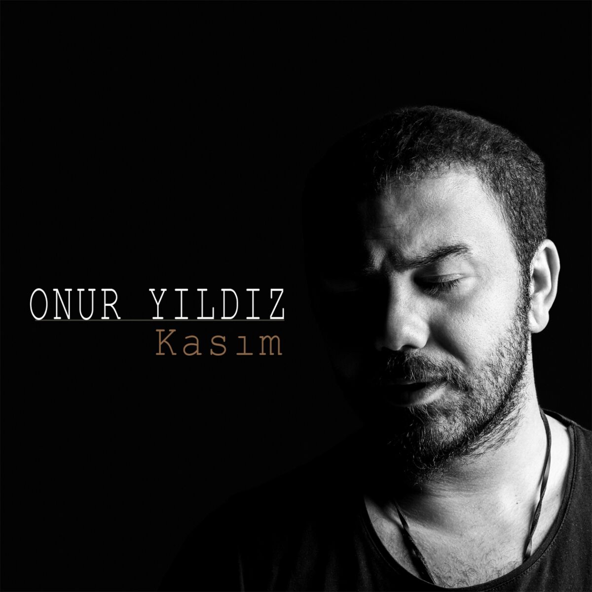 Album cover of Kasım