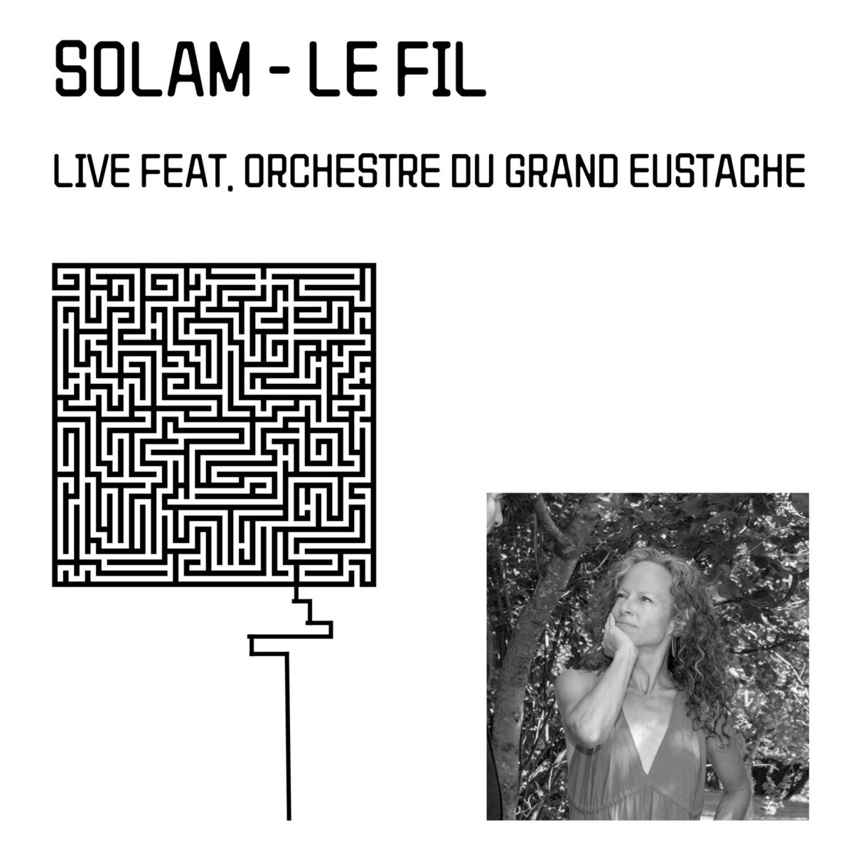 Album cover of Le fil (Live)