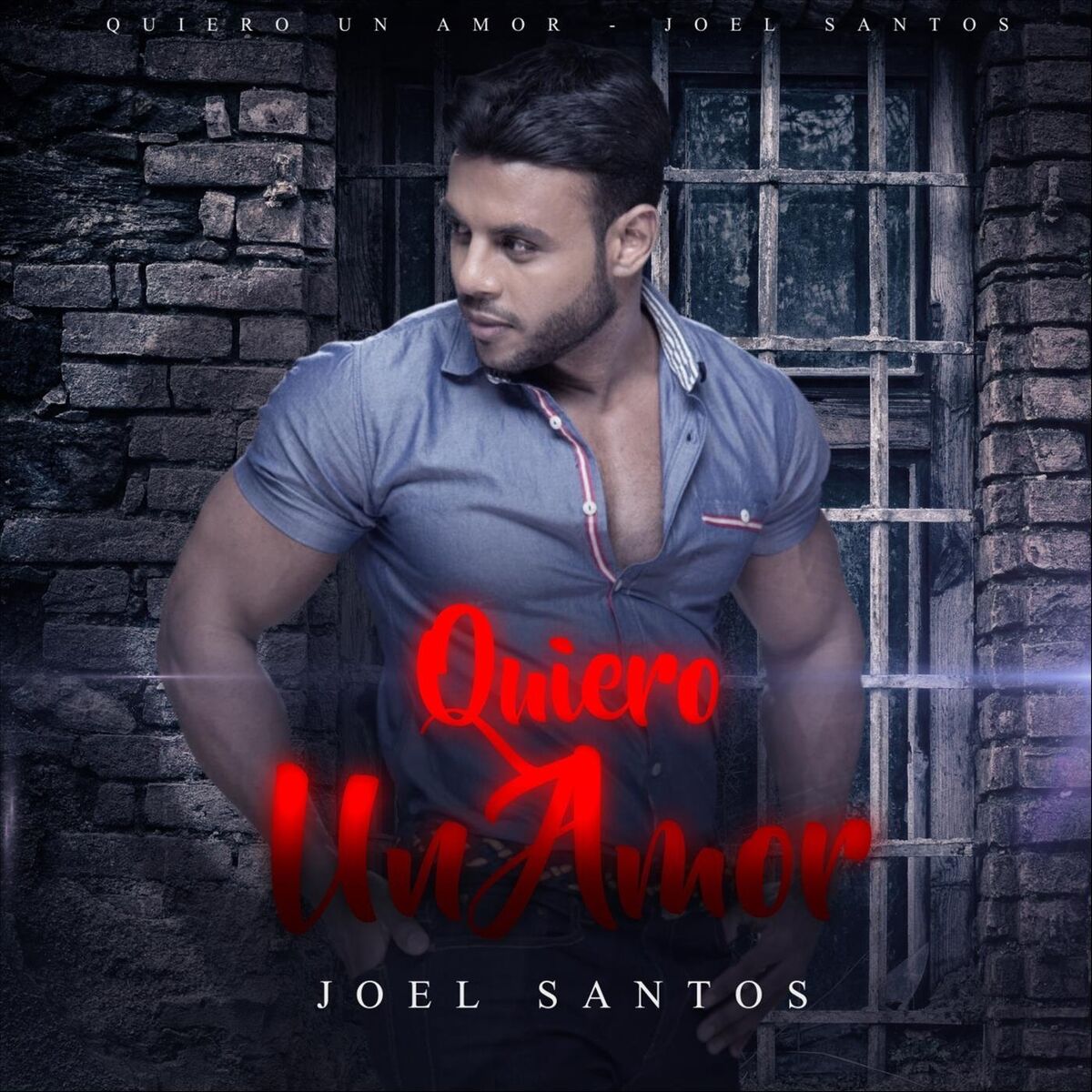 Album cover of Quiero un Amor