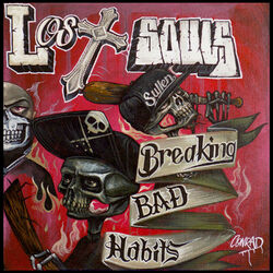 Cover of Breaking Bad Habits