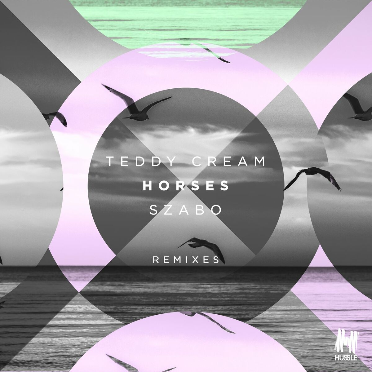 Album cover of Horses (Remixes)
