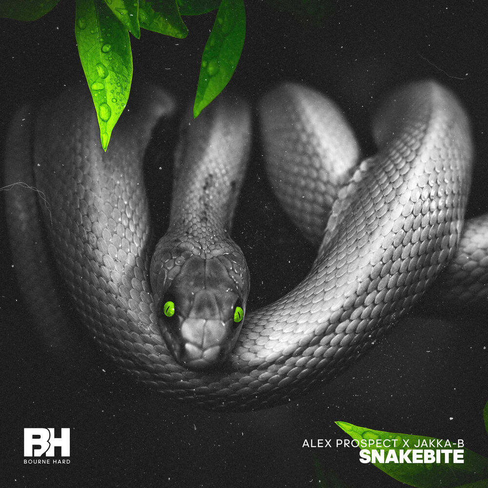 Picture of Snakebite