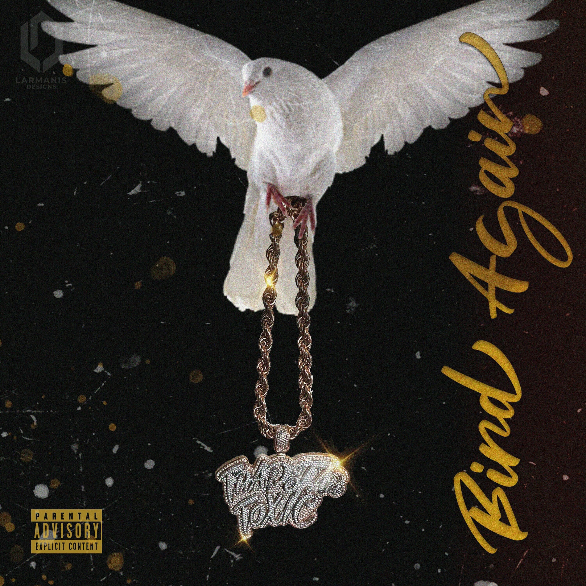 Album cover of Bird Again