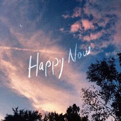 Cover of Happy Now (with Anna Hamilton)