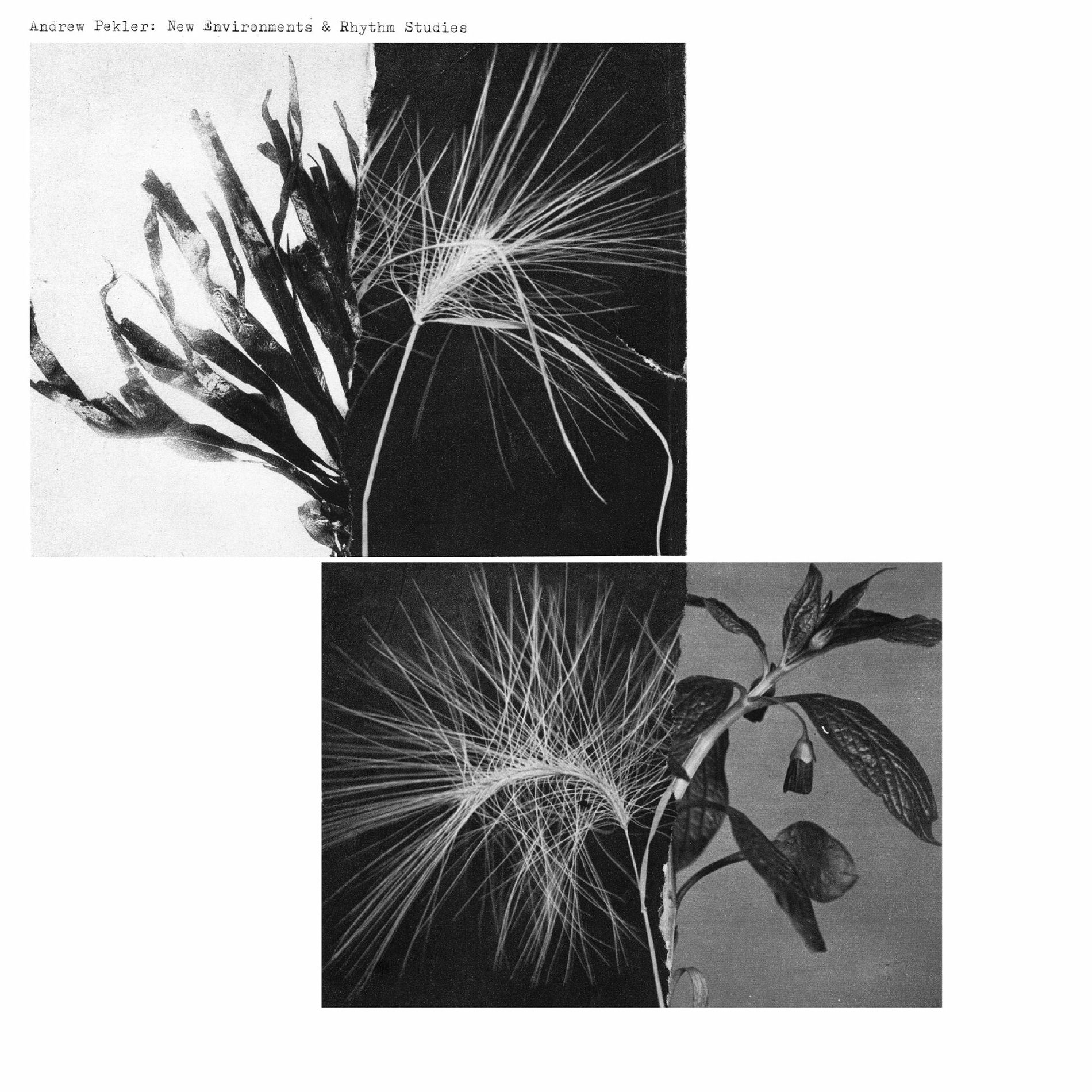Album cover of Rhythm Study 2