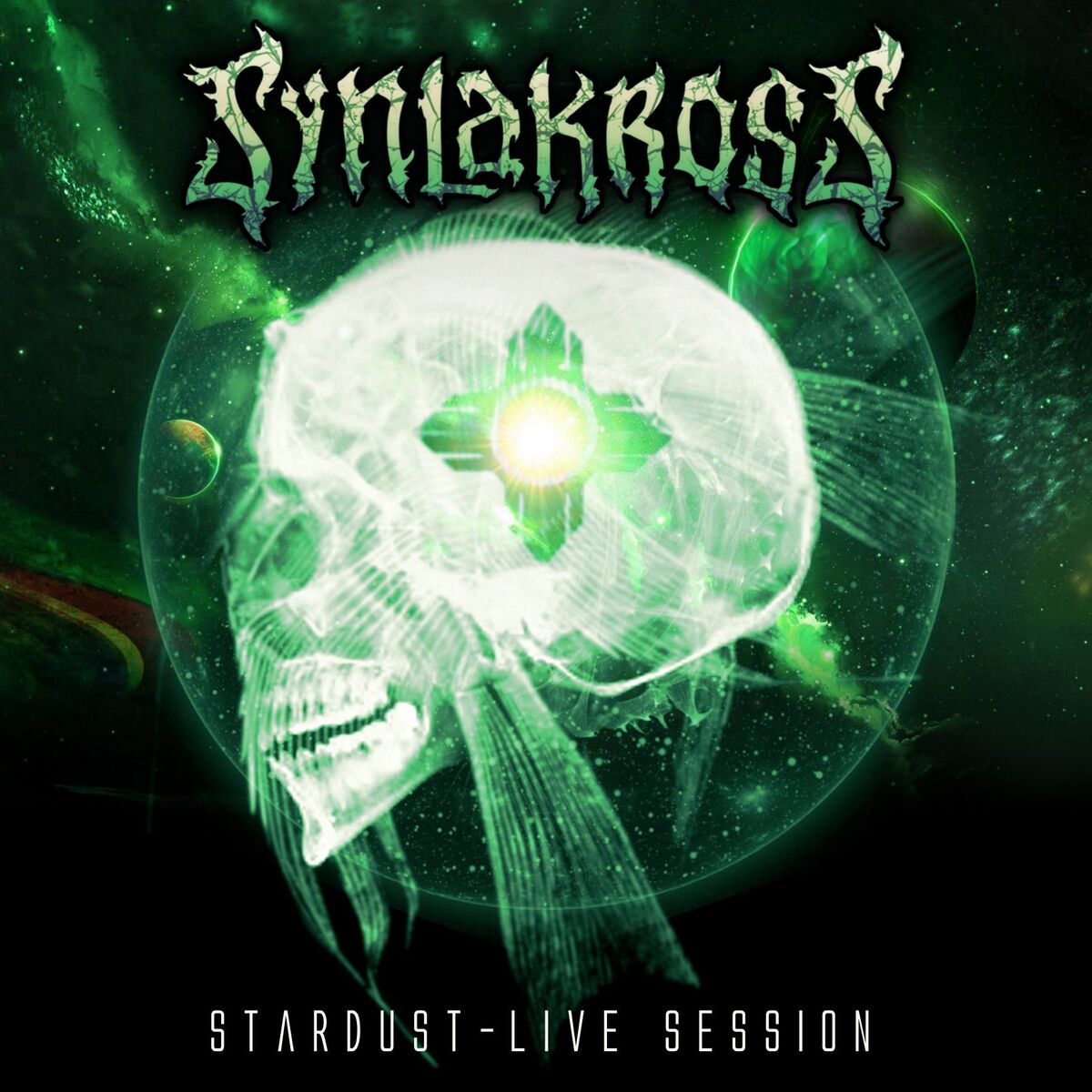 Album cover of Stardust (Live Version)
