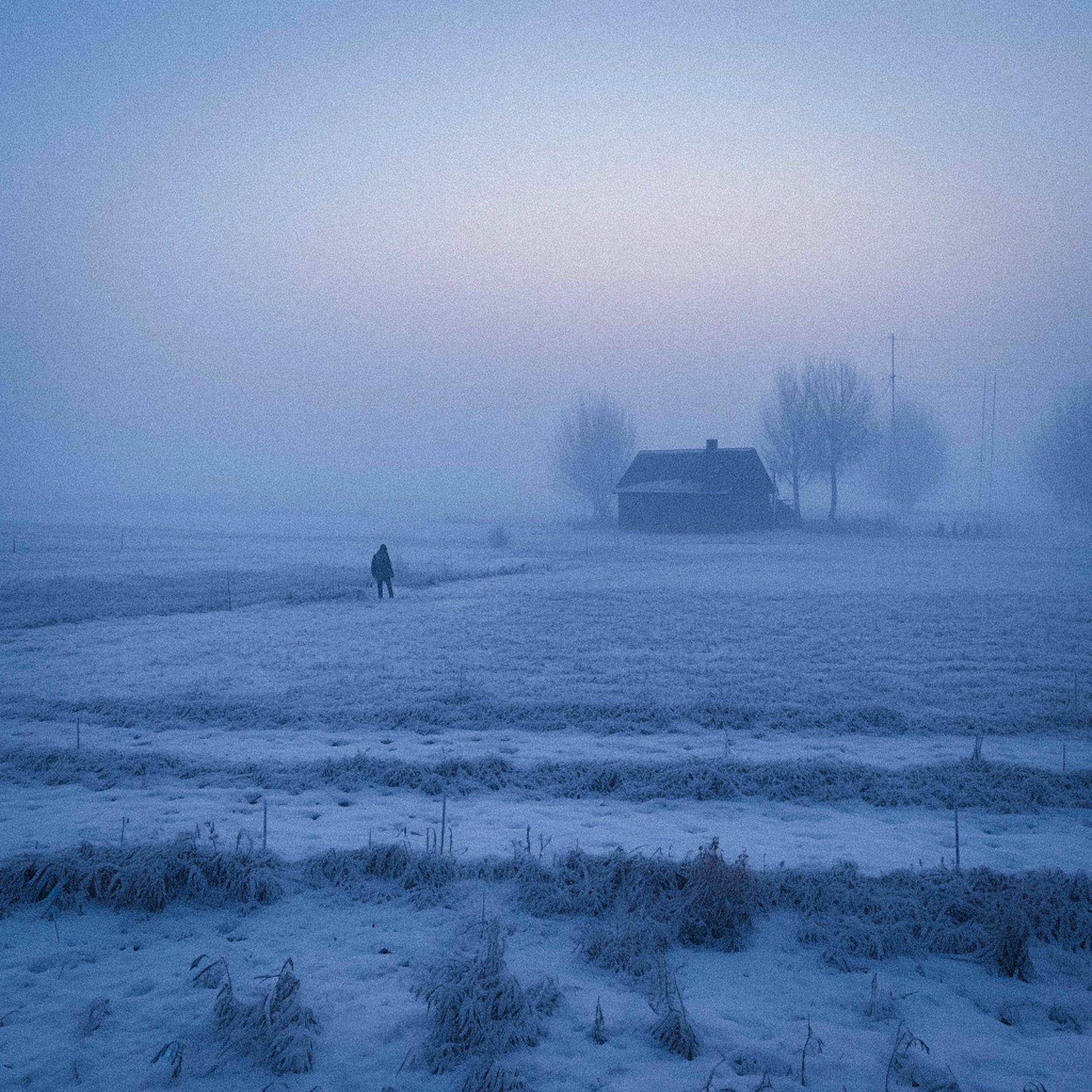 Album cover of echoes