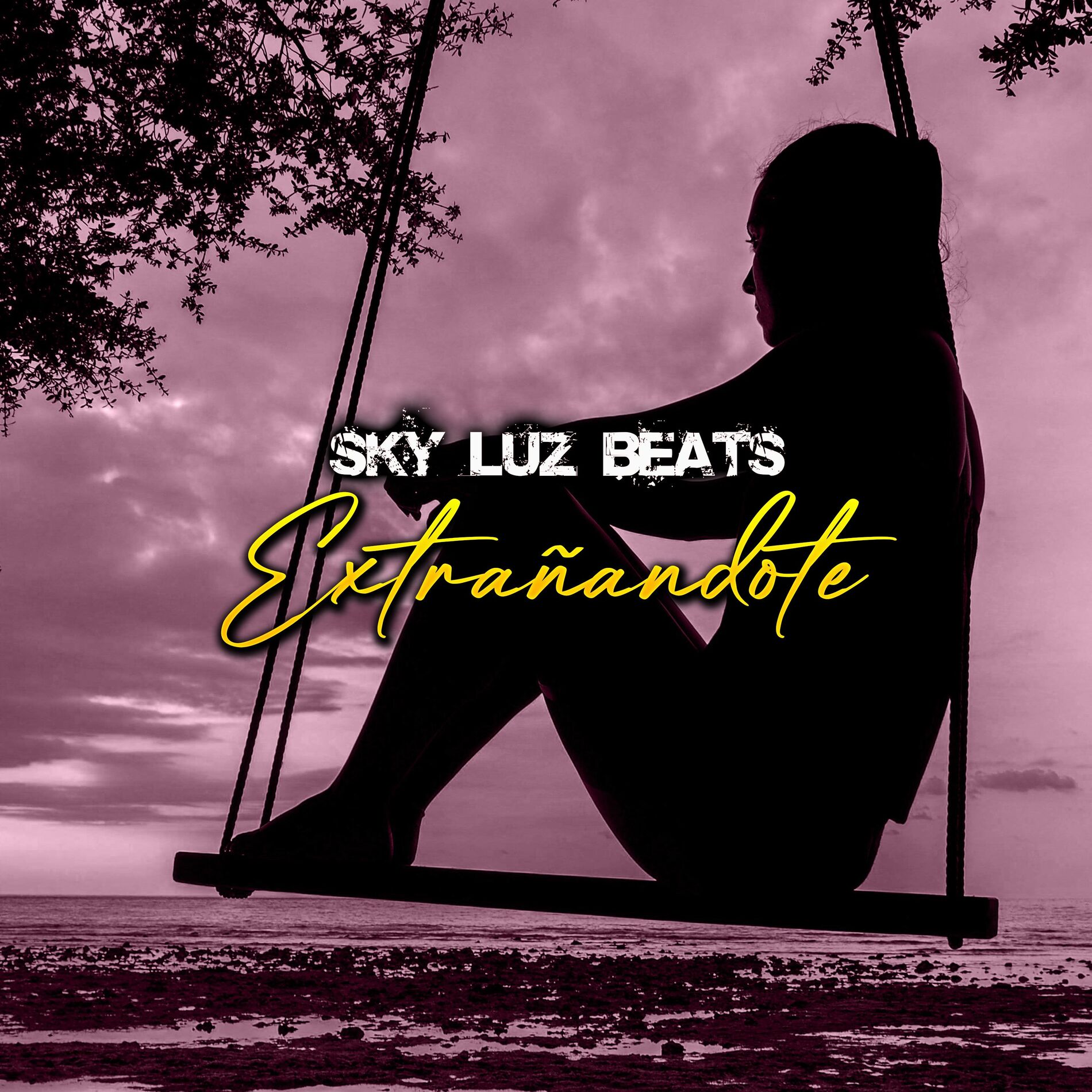 Album cover of Extrañandote