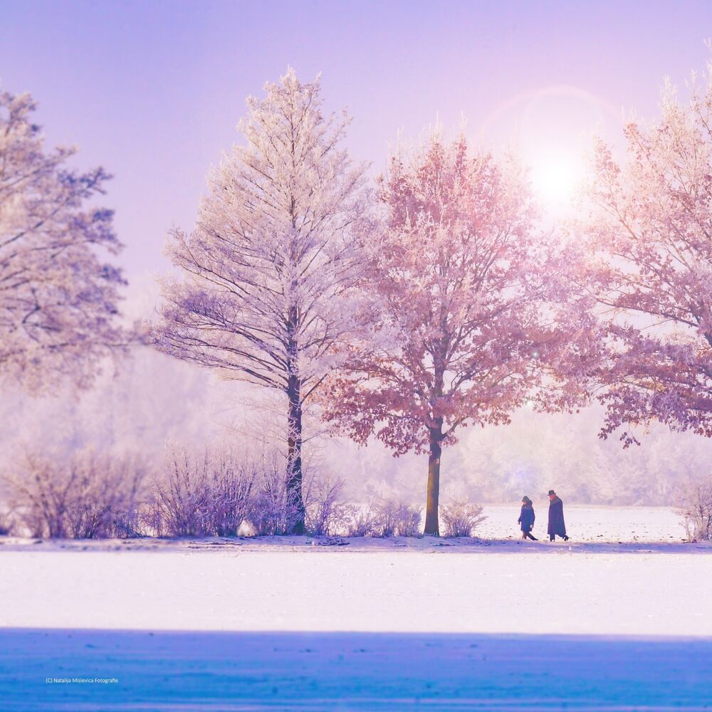 Picture of 20 Relaxing Songs like Snowflakes Christmas 2018