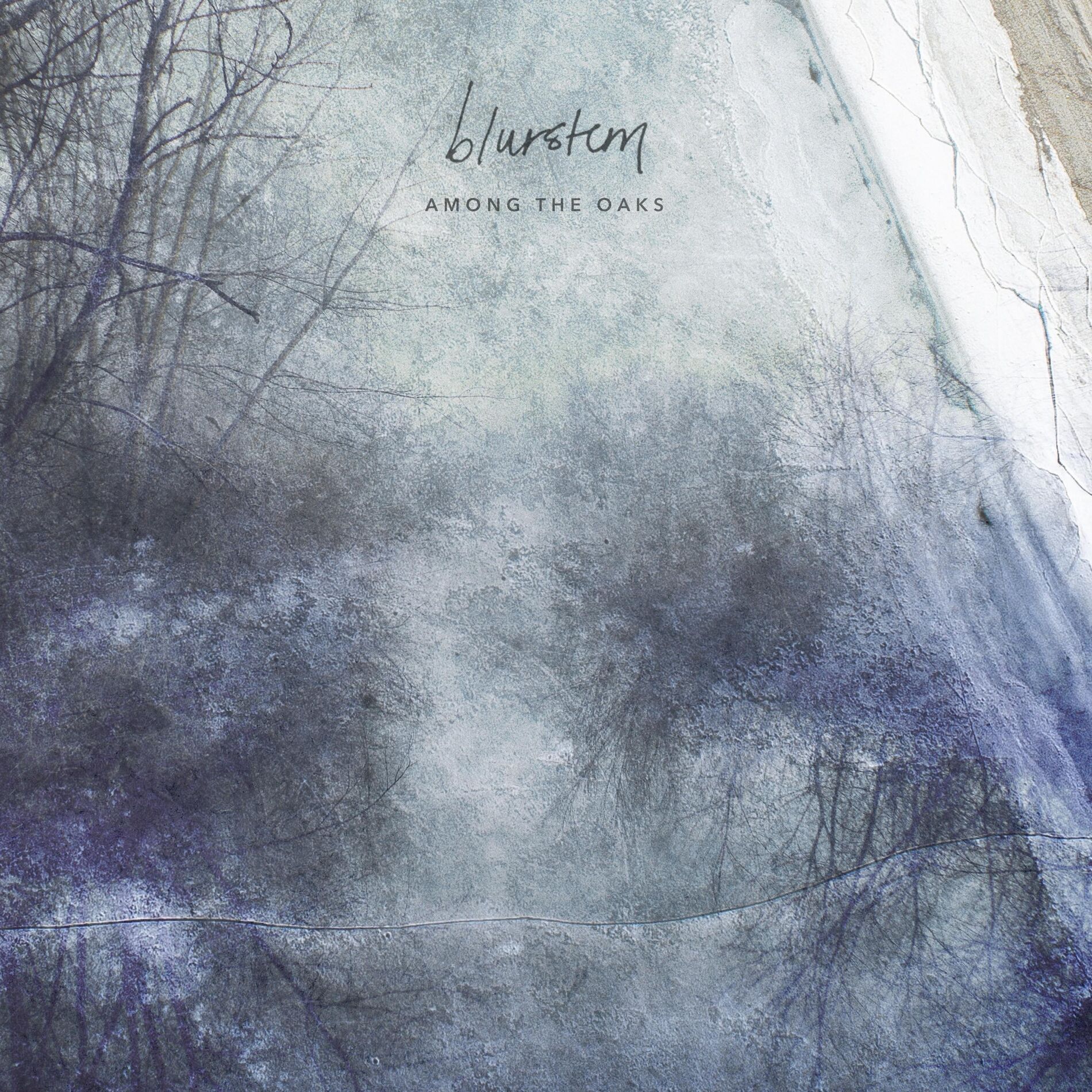 Album cover of Among the Oaks
