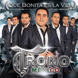 Cover of Que Bonita Es la Vida