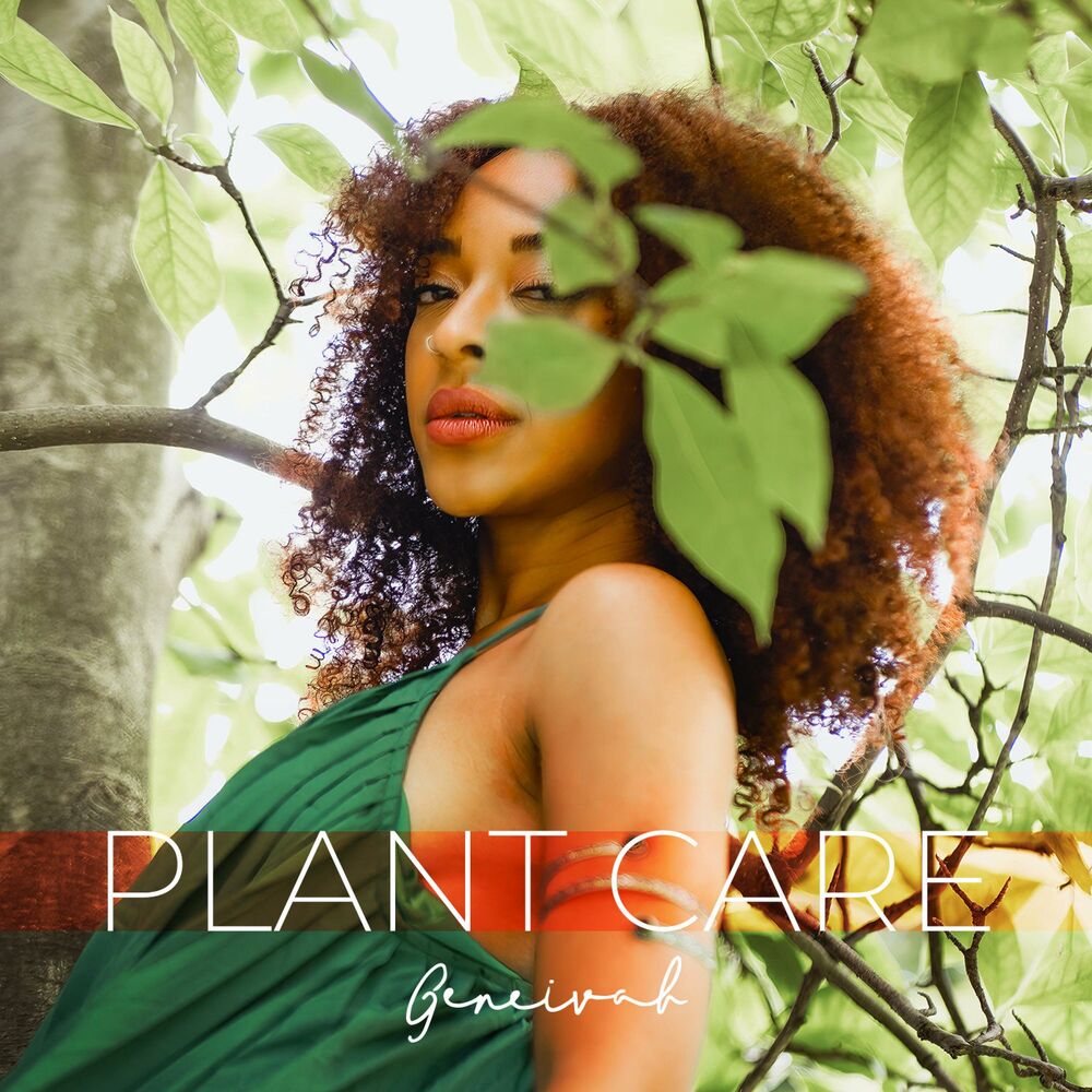 Picture of Plant Care