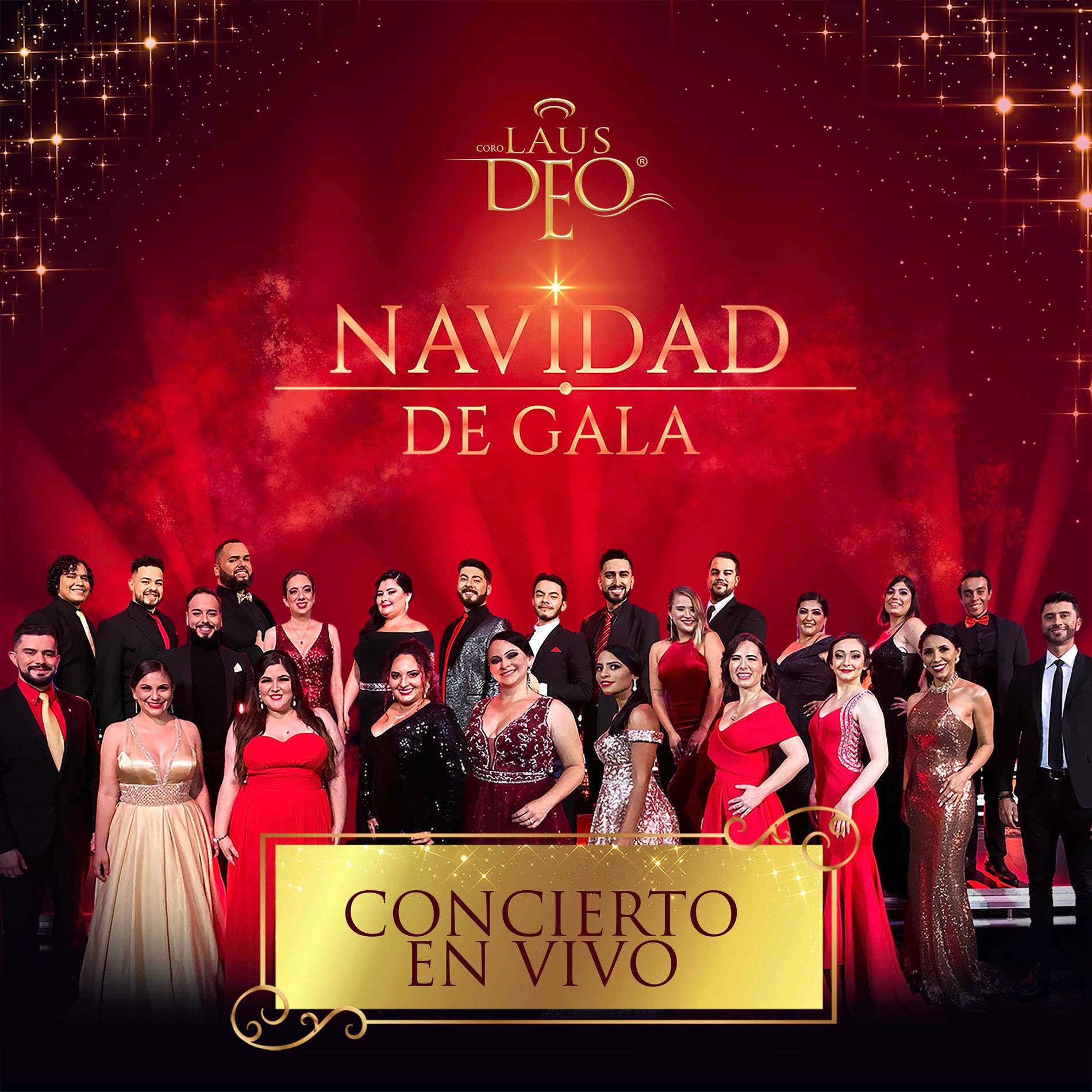 Album cover of Navidad de Gala (concierto en vivo)